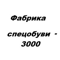Фабрика спецобуви - 3000, ЧП