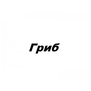 Гриб Т.В., ЧП