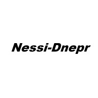 NESSI-DNEPR