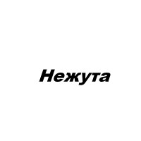 Нежута, ЧП