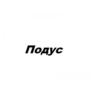 Подус В.Н., ФЛП