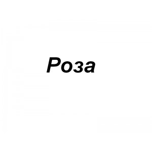 Роза, оптовый склад