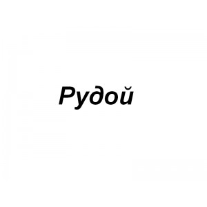 Рудой А. В., ЧП